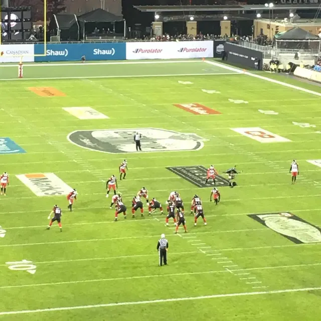 Professional gridiron football