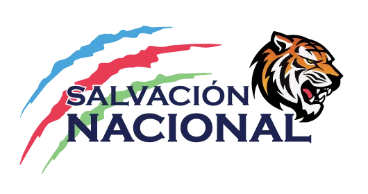 National Salvation Movement