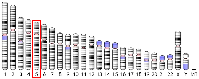 SLC6A18