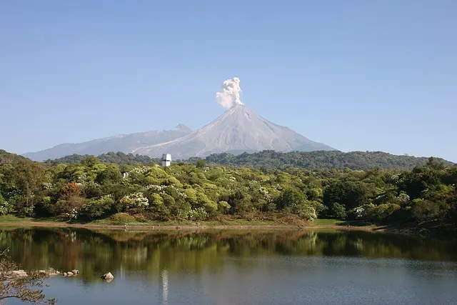 Colima