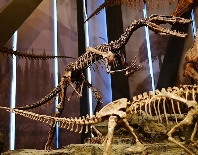 Xiongguanlong