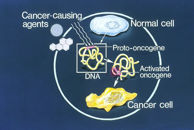 Oncogene
