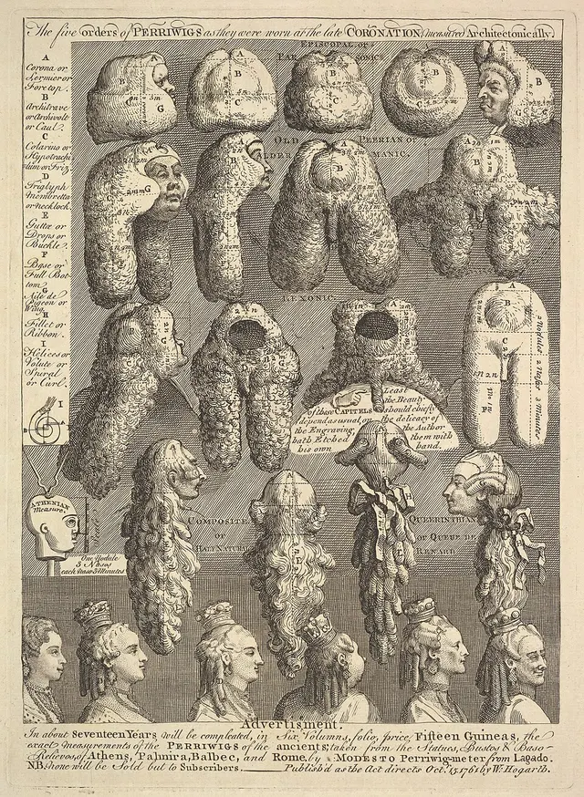 Five Orders of Periwigs