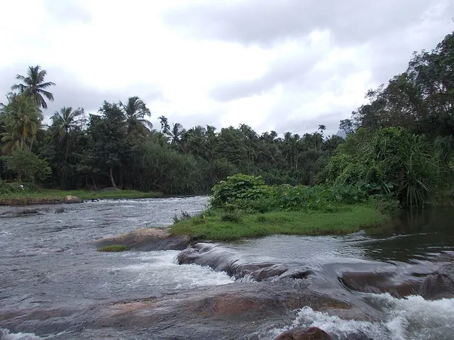 Walayar River