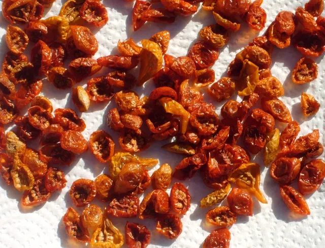 Sun-dried tomato