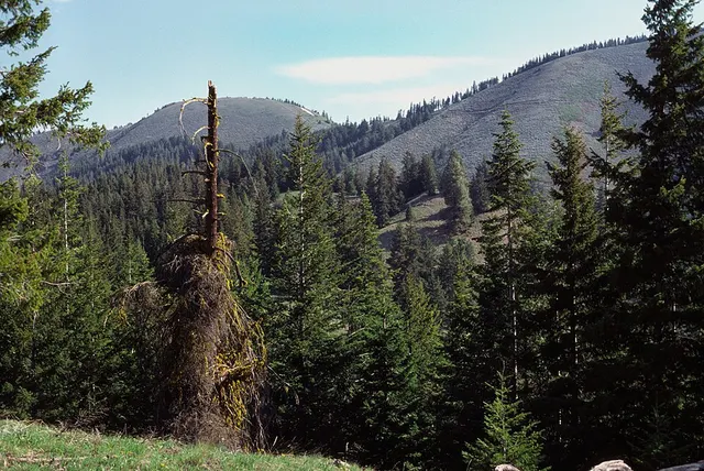 Entiat Mountains