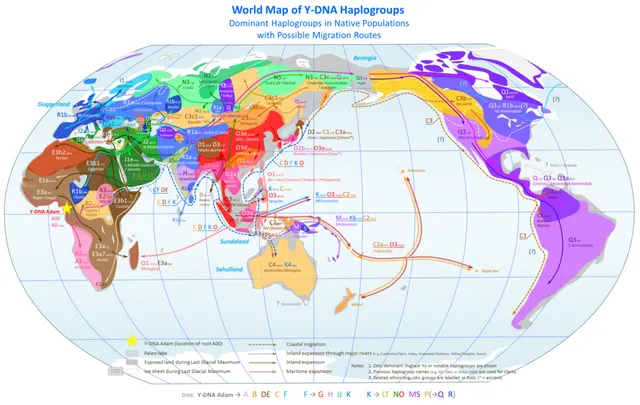Haplogroup