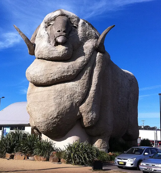 Big Merino