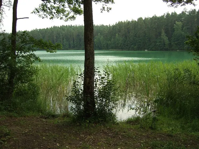 Aukštadvaris Regional Park