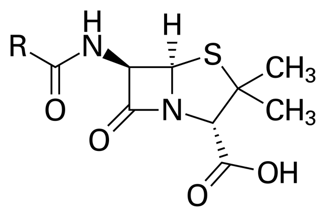 Pénicilline