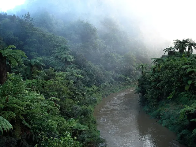 Tāngarākau River