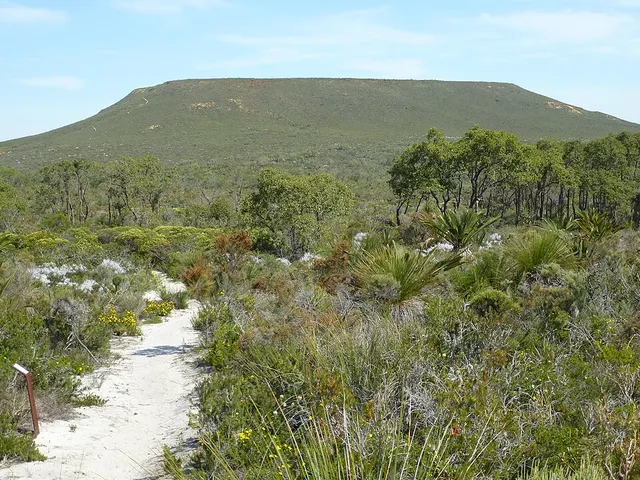 Mount Lesueur