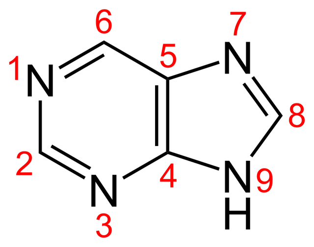 Purine