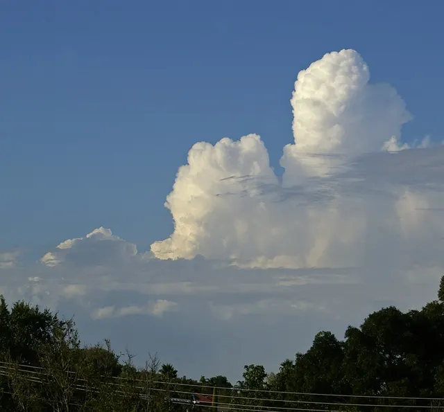 Cumulus congestus cloud