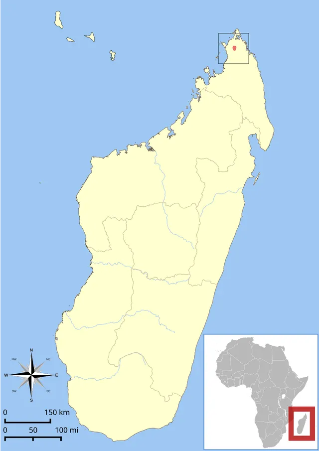 Arnhold's mouse lemur