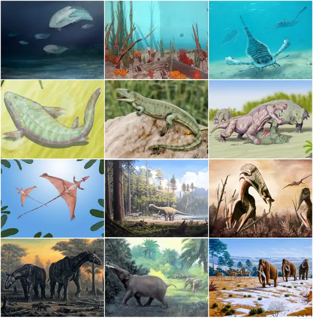 Phanerozoic