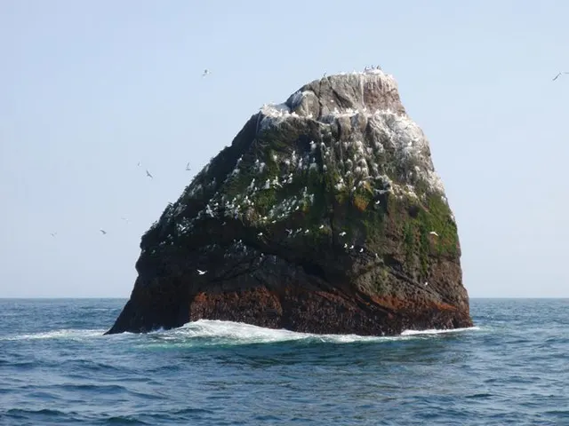 Îlot