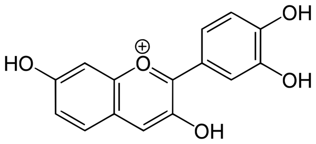 Fisetinidin
