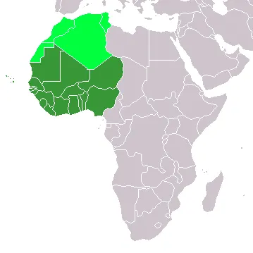 Histoire de l'Afrique de l'Ouest