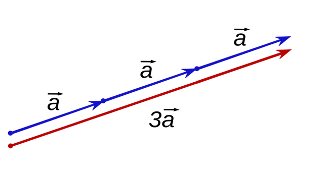Multiplication par un scalaire