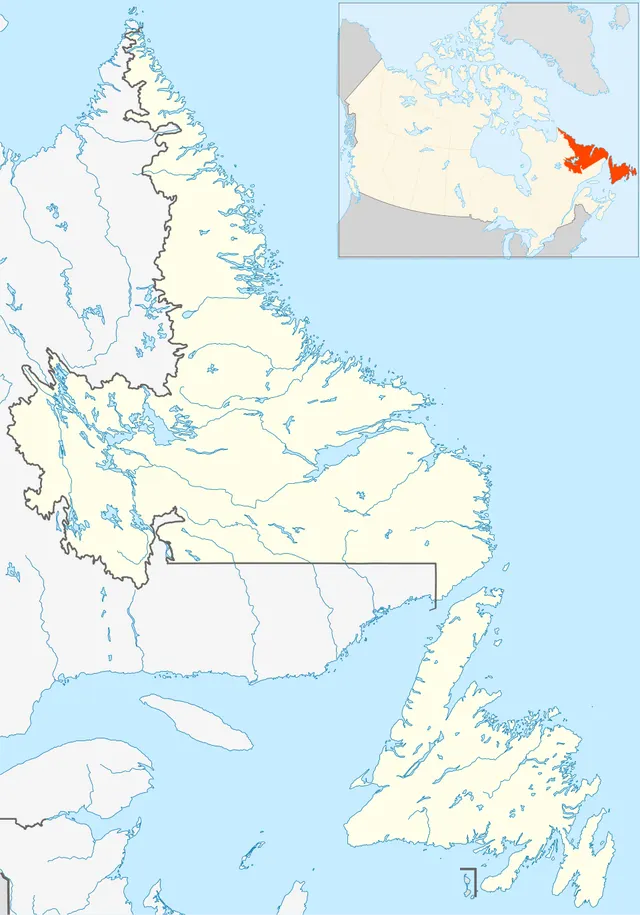 2009 Newfoundland and Labrador municipal elections