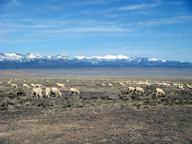 Snake Valley
