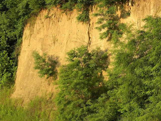 Loess