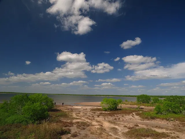 Refuge faunique national Lower Rio Grande Valley
