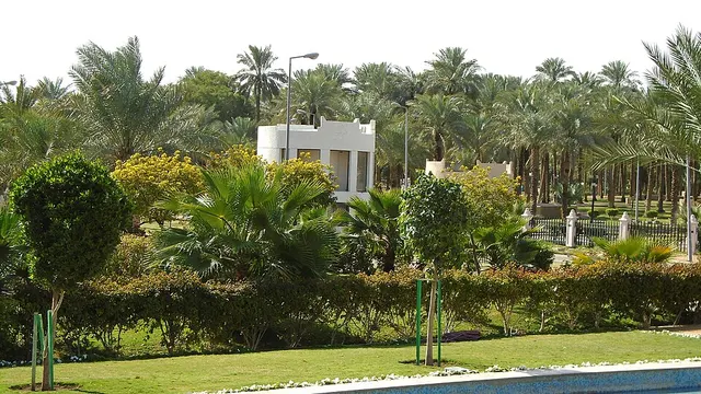 Al-Suwaidi