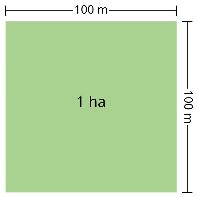 Hectare