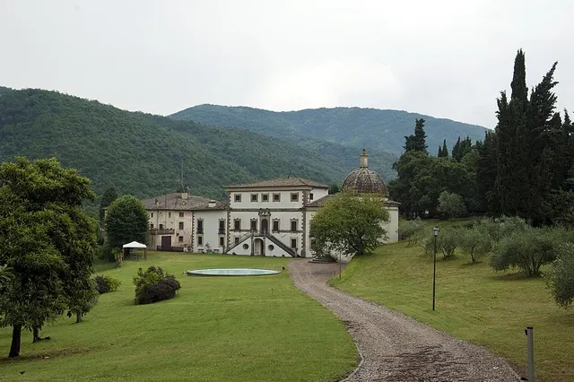Cintoia