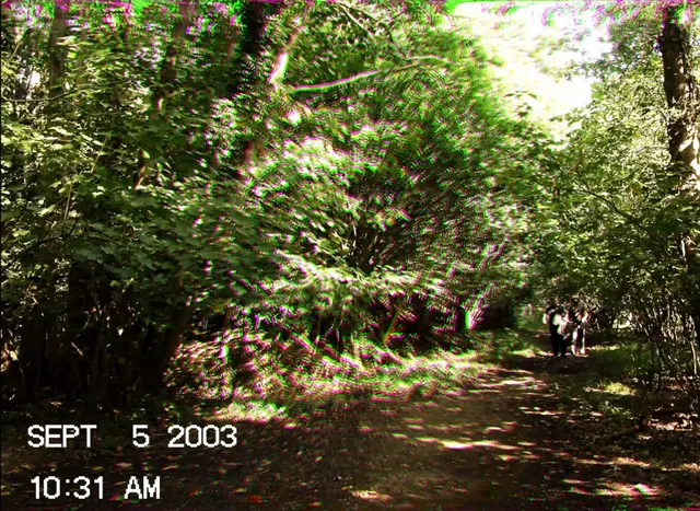 Found footage film