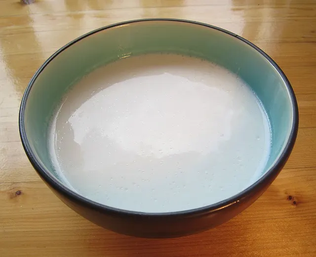 Lait végétal