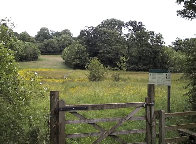 British NVC community M22