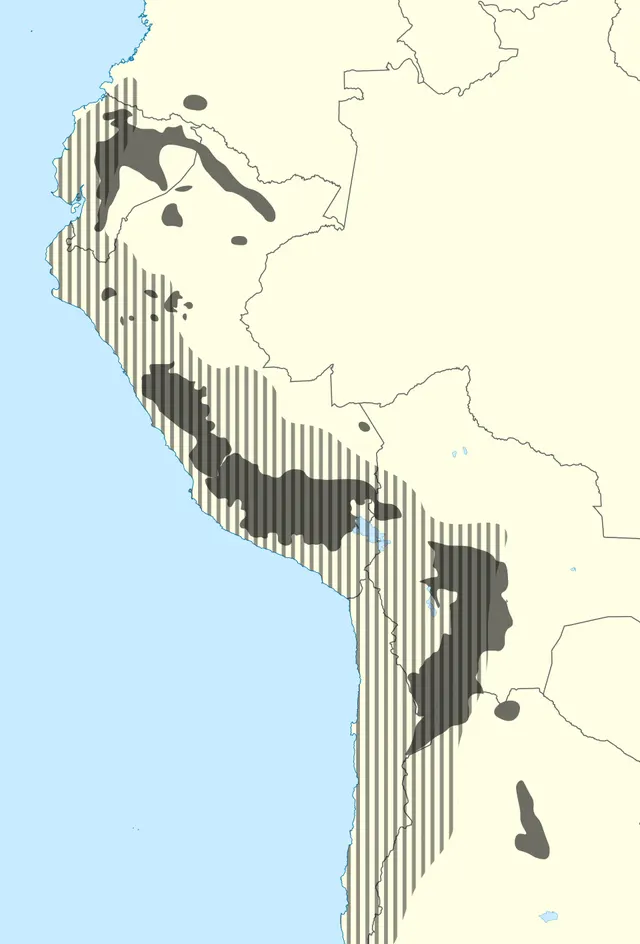 Quechuan languages