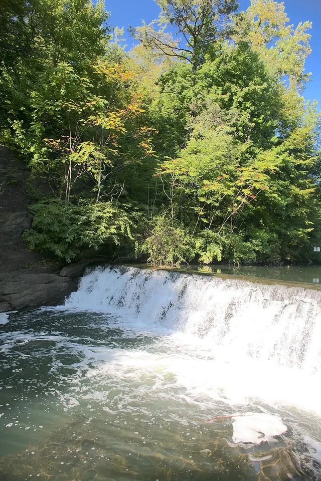 Bronx Park