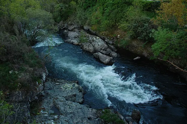 Arnego