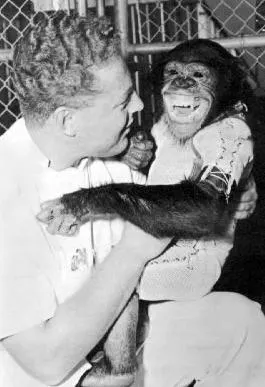 Hominini