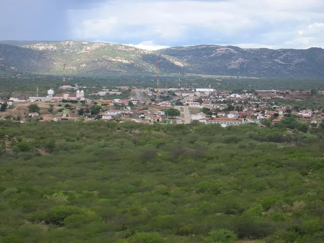 Acari