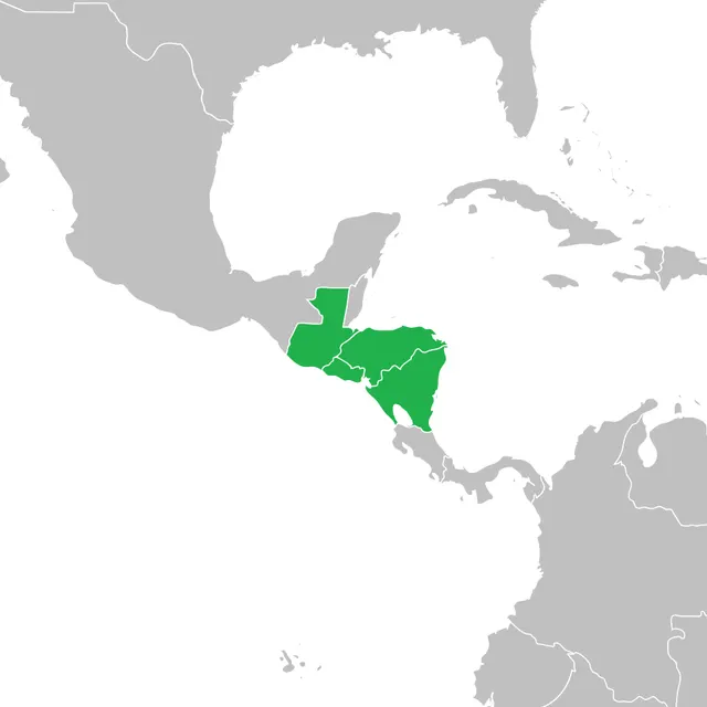 Central America-4 Border Control Agreement