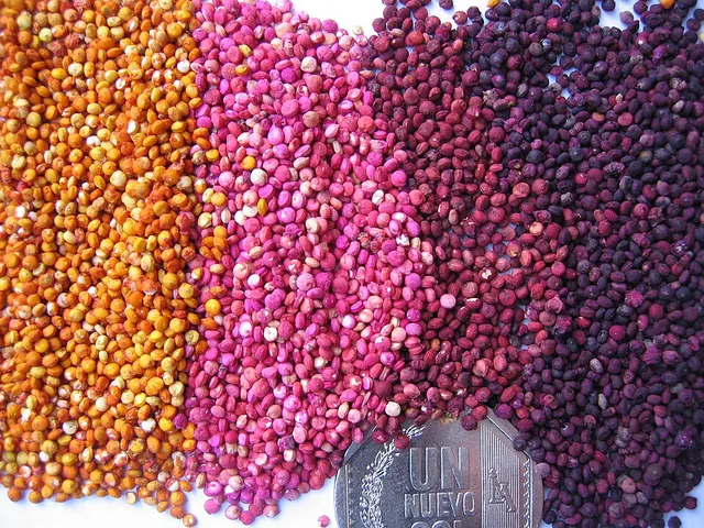 Pseudocereal