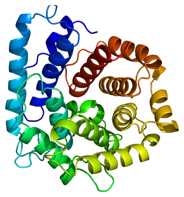 Complement component 3