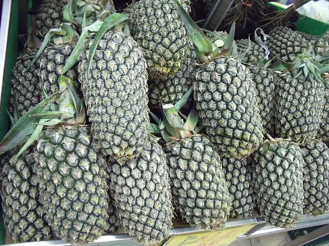 List of national fruits