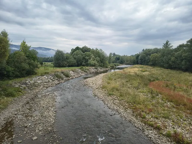 Soła