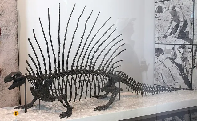 Edaphosaurus