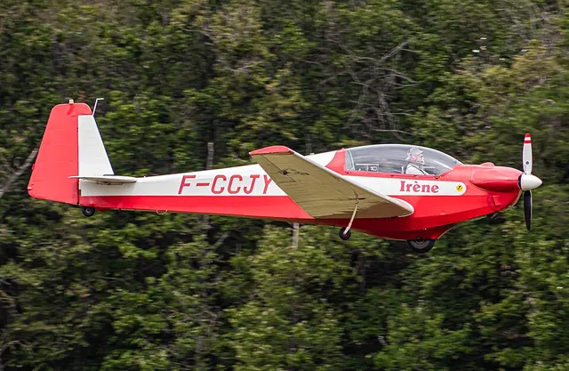 Scheibe SF 28
