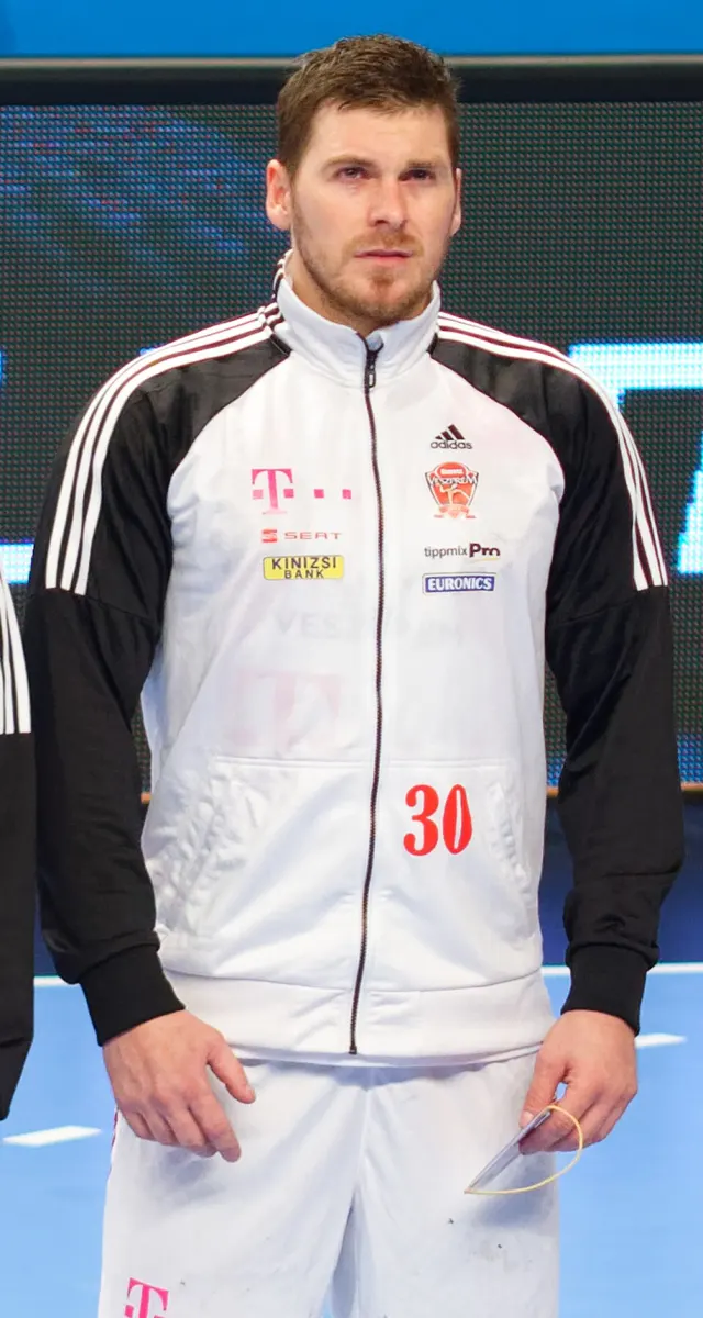 Mirsad Terzić