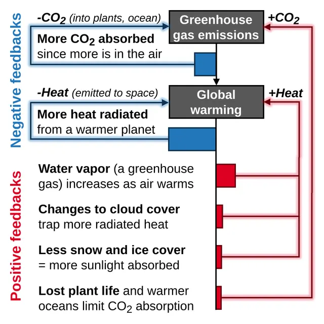 Climate change feedbacks