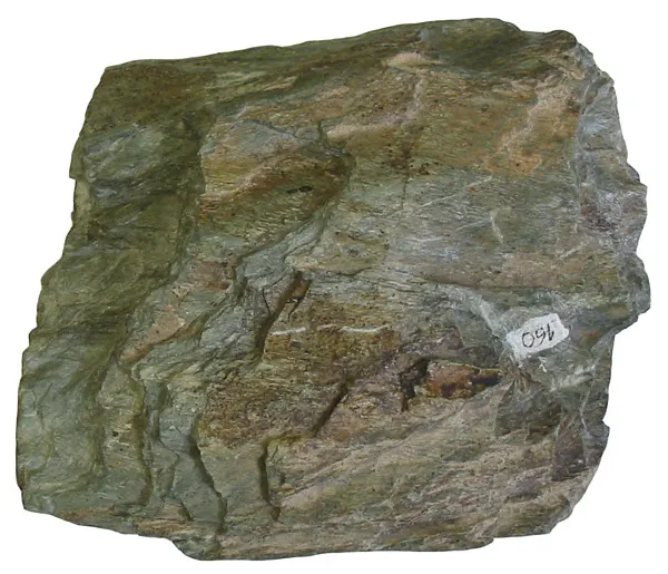 Greenschist