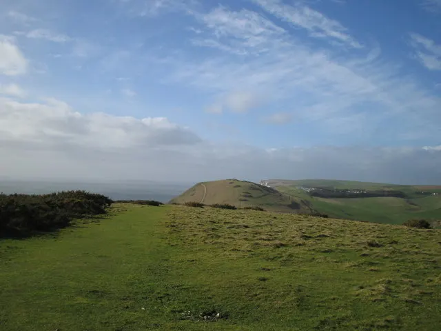 Hambury Tout